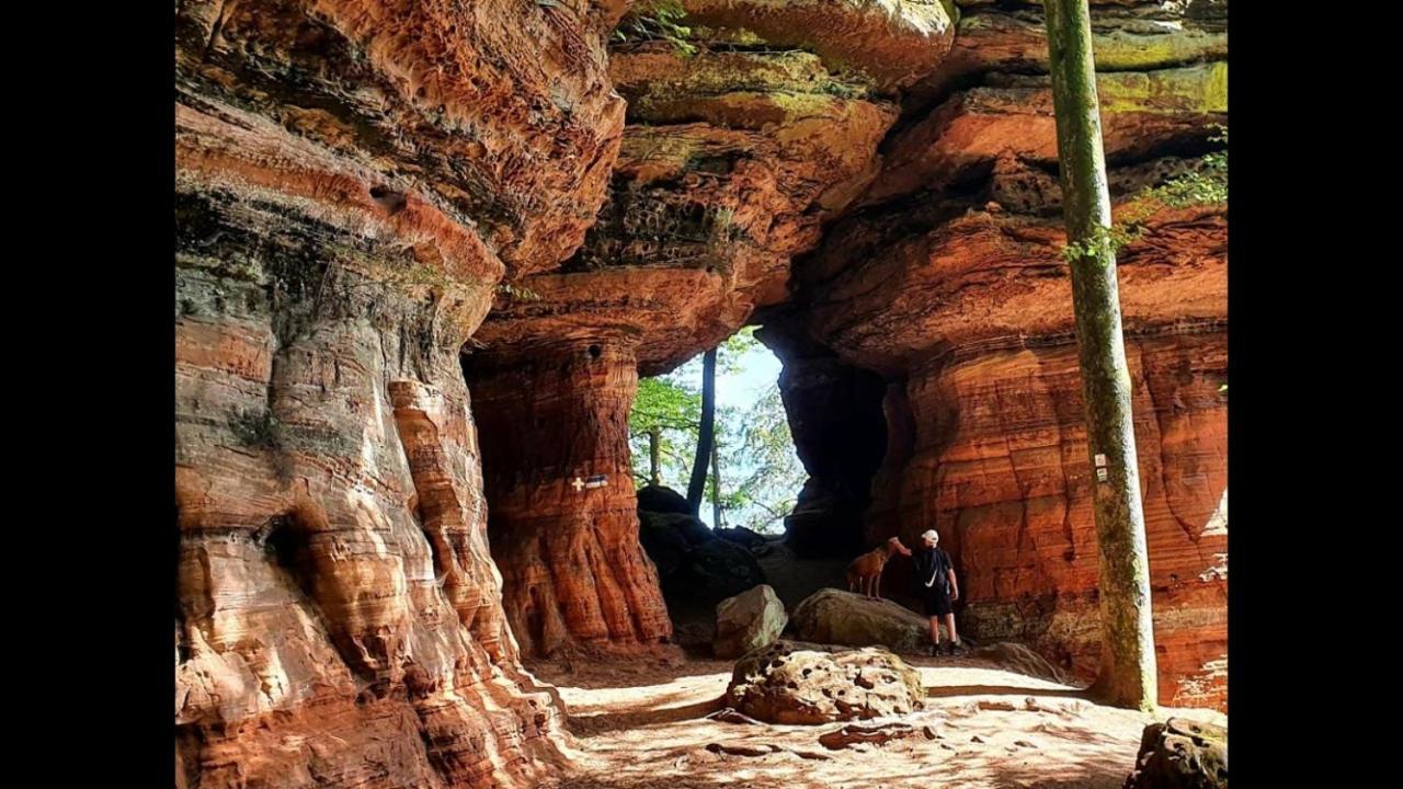 فيلا La Petite Halte Lemberg المظهر الخارجي الصورة